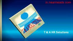 Job Consultancy in Gurgaon T&A Solutions – Best Consultancy for Job Seekers