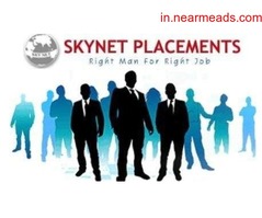 Job Consultancy in Vadodara Skynet Placements – Best Recruitment Consultants Vadodara