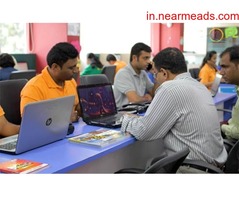 Tours and Travels in Vadodara Flamingo Travels – Best Travel Agents in Vadodara