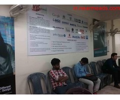 Job Consultancy in Noida KVC Consultants – Best Job Consultancy in Noida