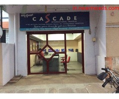 Tours and Travels in Mysore Cascade International Travels – Book Your Travel Package Now