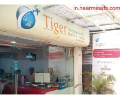 Tours and Travels in Indore Tiger International Tours and Travels in Indore
