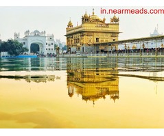 Tours and Travels in Bhopal Shree Tirupati Tours and Travels – Best Travel Agency