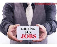 Job Consultancy in Ludhiana IndSparkles Job – Best Placement Consultants in Ludhiana