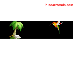 Tours and Travels in Rajkot Vyas Tours and Travels in Rajkot