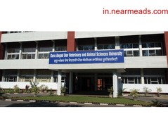 Engineering Colleges in Ludhiana Guru Angad Dev Veterinary and Animal Sciences University Ludhiana