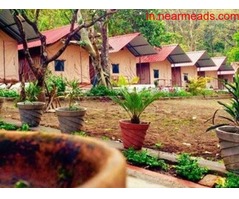 Tours and Travels in Dehradun DB Tours and Travels – Best Tour Operators in Dehradun