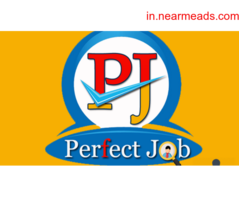 Job Consultancy in Rajkot Perfect Job Placement – Best HR Agency in Rajkot