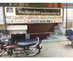 Tours and Travels in Lucknow Woodpecker Tours and Travels – Best Travel Agency in Lucknow