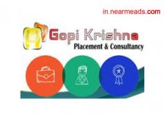 Job Consultancy in Udaipur Gopi Krishna Placement- Top Job Consultancy in Udaipur