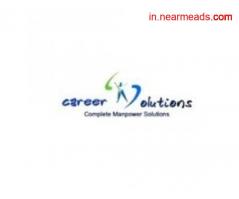 Job Consultancy in Udaipur Career Solutions Udaipur- job consultancy