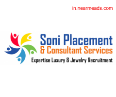 Job Consultancy in Udaipur Soni Placement Consultant Services Udaipur