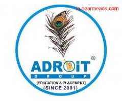 Job Consultancy in Udaipur Adroit Jobs International- best placement company in Udaipur