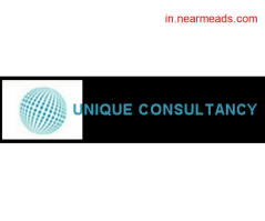 Job Consultancy in Udaipur Unique Consultancy- Job consultancy in Udaipur
