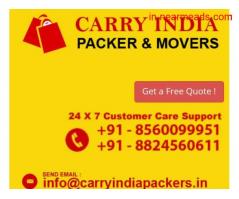 Packers and Movers Raipur Carry India Packers and Movers Services in Raipur