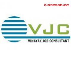 Vinayak Job Consultant- best placement agency Raipur - Image 1