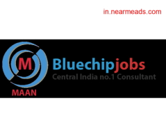 Job Consultancy in Raipur Bluechip Jobs Pvt Ltd- Consultancy Firm in Raipur
