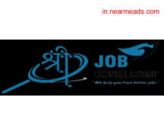 Job Consultancy in Raipur Shree Job Consultant- Top Recruitment Agency in Raipur