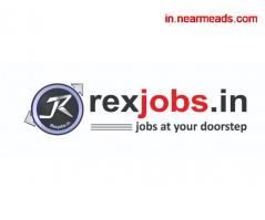 Job Consultancy in Udaipur Rex Jobs- Top placement Agency in Udaipur