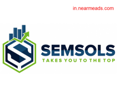 SEMSOLS - Digital Marketing Course in Patna - Job Oriented Training in Patna - Image 1