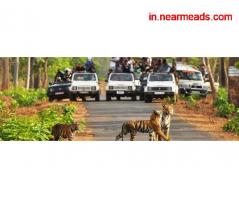 Tours and Travels in Shimla Swastik Tours N Travels – Best Travel Agency in Shimla