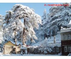 Tours and Travels in Shimla Welcome Travel Shimla – Book Best Holiday Tour Packages
