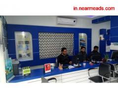 Tours and Travels in Udaipur Discovery Tours and Travels – Best Travel Company Udaipur