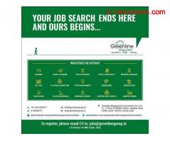 Job Consultancy in Kochi Greenline Management Consultants – Best Placement Agency Kochi