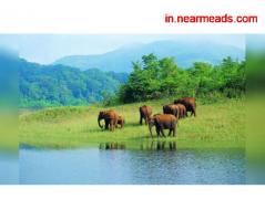 Tours and Travels in Kochi Blue Land Tours and Travels – Best Tourism Company