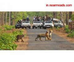 Tours and Travels in Raipur Gurukripa Travels – Best Travel Agency in Raipur