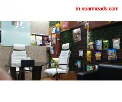 Interior Designers in Ranchi Designco Interiors – Best Designing Company in Ranchi