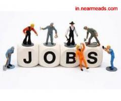 Job Consultancy in Ranchi Ranchi Jobs – Best Placement Agency in Ranchi