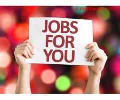 Job Consultancy in Patna Al Falah Job Consultants – Best Job Consultancy in Patna