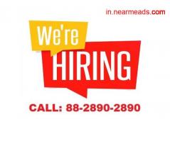 Job Consultancy in Patna Jobsopedia – Best Recruitment Consultants in Patna