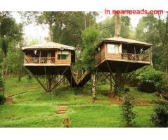 Tours and Travels in Coimbatore Jolly Tours – Best Travel Agency in Coimbatore