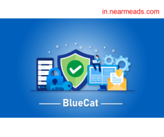 Data Science Courses in Bangalore BlueCat Certification Course Online in Bangalore