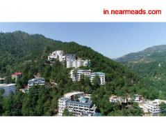 Artificial Intelligence Course Shimla Shoolini University – Best AI Training Program in Shimla
