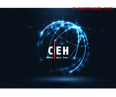 Ethical Hacking Cyber Security Course Shimla Hackers Democracy – Best Ethical******** Training in Shimla