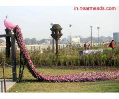 Tours and Travels in Ahmedabad Pinks Travel – Top Tours and Travel Company in Ahmedabad