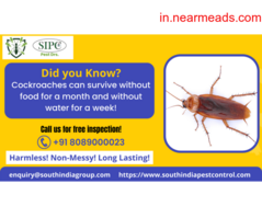 Commercial Property Cockroach Control Bangalore