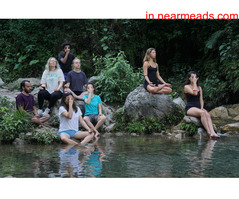 Packers and Movers Dehradun 200 Hour Yoga Teacher Training in Rishikesh India