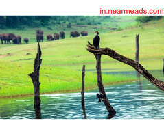 Best Tour Operators in Kochi, Kerala – Be Tours - Image 3