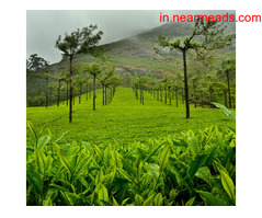 Best Tour Operators in Kochi, Kerala – Be Tours - Image 4