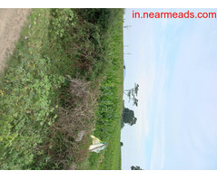 Commercial Property agriculture land for sale