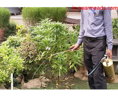 Eurow Care & Cure LLP - Pest Control Service in Kolkata - Image 4