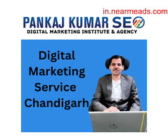 Digital Marketing Course in Chandigarh Digital Marketing Service Chandigarh