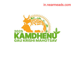 Event Management Companies in Delhi How does hypertension contribute to cardiovascular diseases?