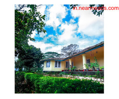 Cherambadi Bungalow - Image 3