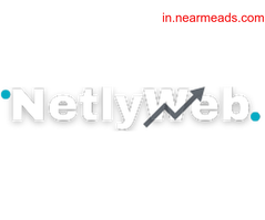 Artificial Intelligence Course in Delhi NetlyWeb Pvt. Ltd.