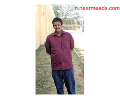 Freelance Digital Marketer in kochi - Image 2
